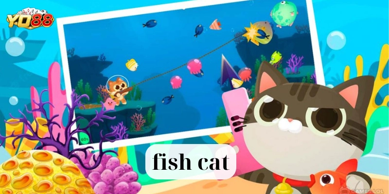 Tính năng đặc biệt của Fish Cat